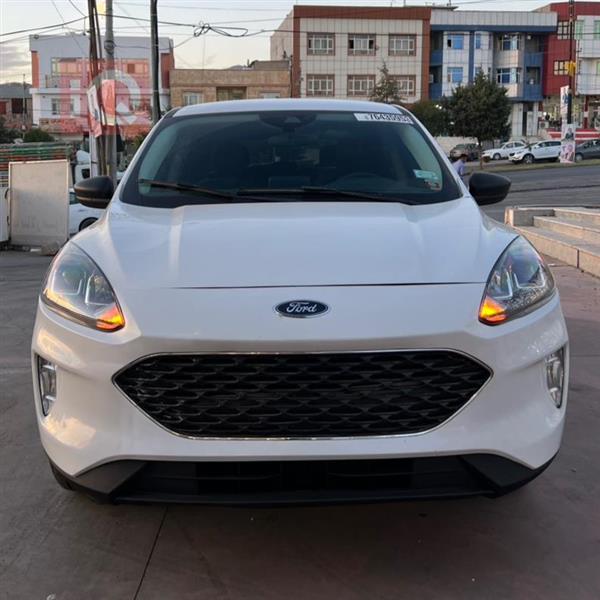 Ford for sale in Iraq